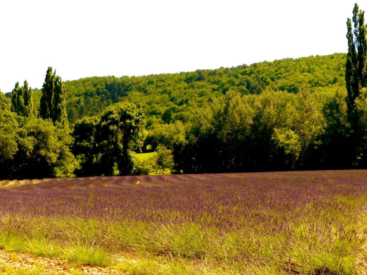 La Fontaine De Rocoule Ξενοδοχείο Rochefort-en-Valdaine Εξωτερικό φωτογραφία